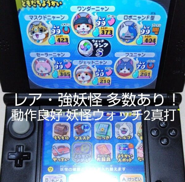 【3DS】妖怪ウォッチ2 真打 ☆動作良好☆ ※ソフトのみ※