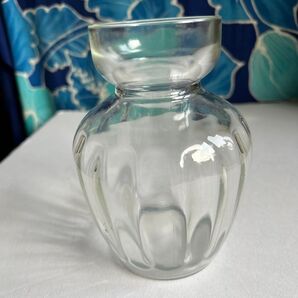 球根を水栽培するクリアガラス容器