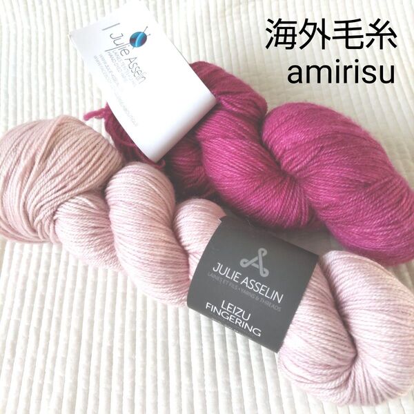 Julie Asselin LEIZU FINGERING 2かせ/amirisu/海外毛糸/手染め毛糸