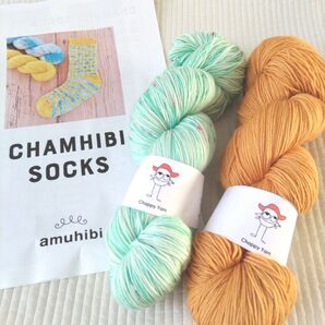 amuhibi+Chappy Yarnのコラボソックスキット/アムヒビ/チャッピーヤーン/手染め毛糸/海外毛糸