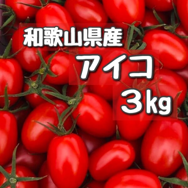 和歌山県産ミニトマトアイコ