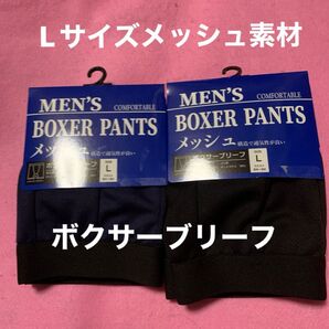 Lサイズ メッシュ素材 ボクサーブリーフ 色違い2枚セット