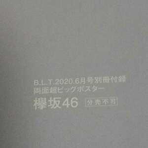 62 欅坂46 両面超ビッグポスター