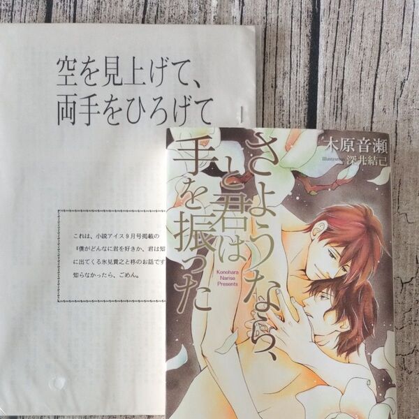 さようなら、と君は手を振った Holly Novels/木原音瀬 【著】