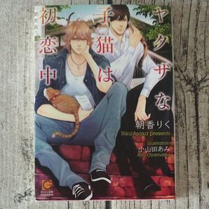 ヤクザな子猫は初恋中 (ガッシュ文庫) 朝香りく/著