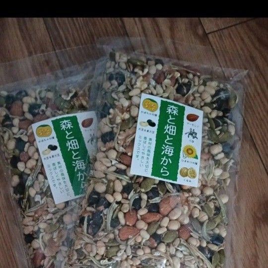 森と畑と海から 2袋 ショップ袋発送