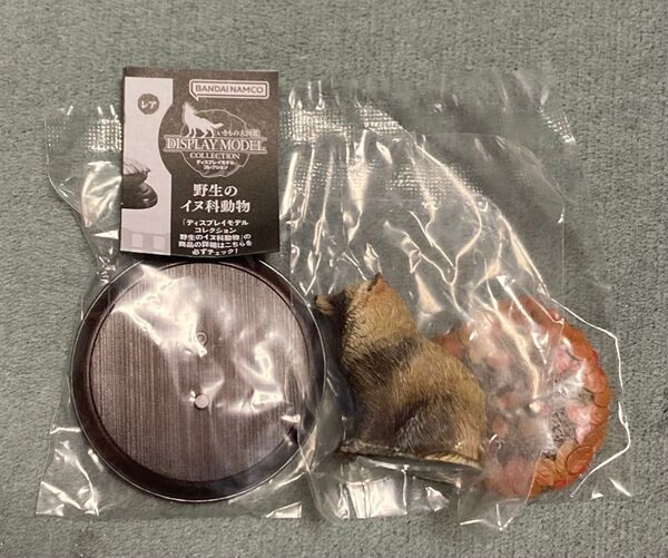 いきもの大図鑑 ディスプレイモデルコレクション 野生のイヌ科動物 狸