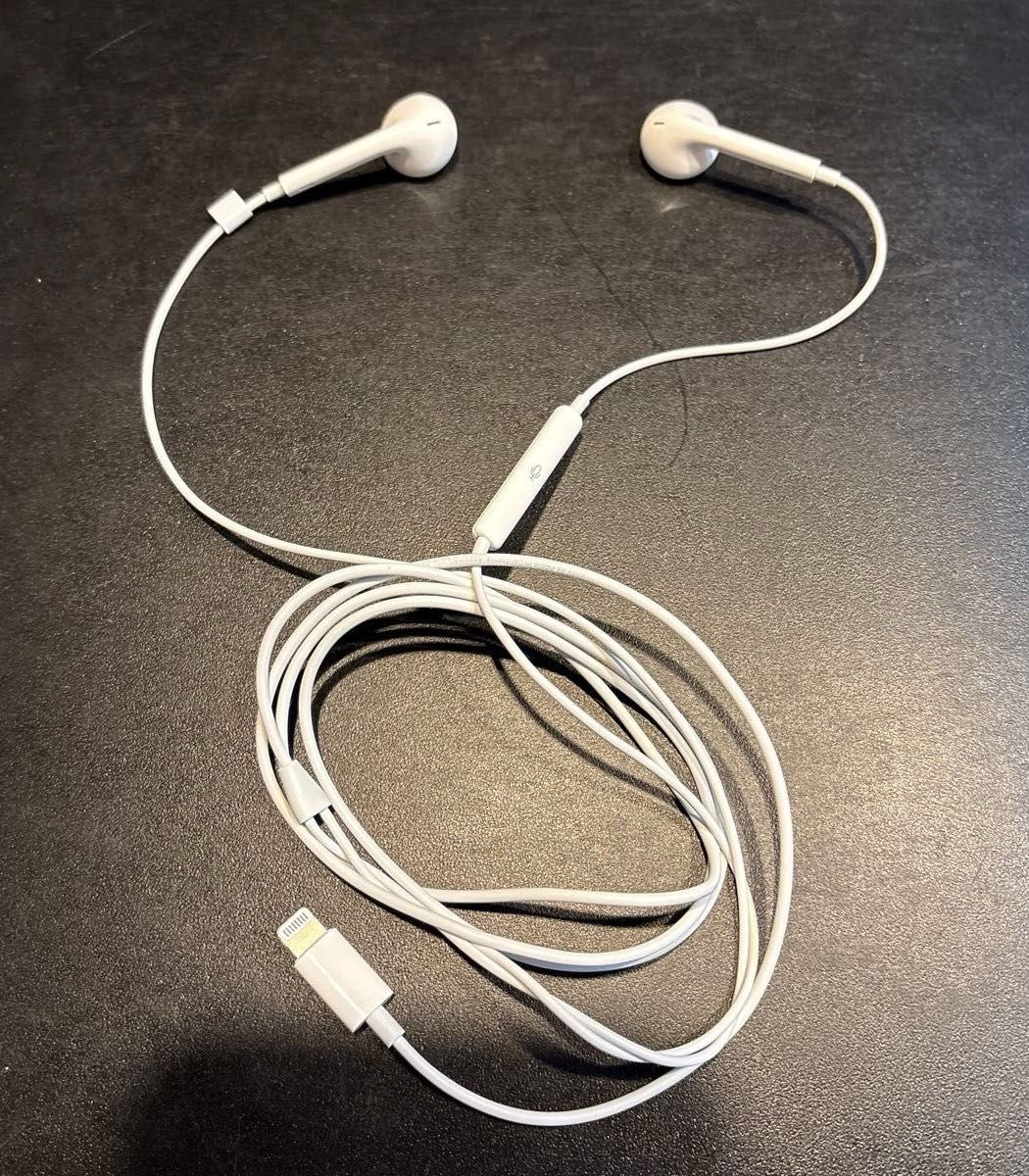 アップル イヤホン 純正の新品・未使用品・中古品|Yahoo!フリマ アップル イヤホン 純正の新品・未使用品・中古品|Yahoo!フリマ