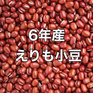 6年産 えりも小豆 北海道産 100g