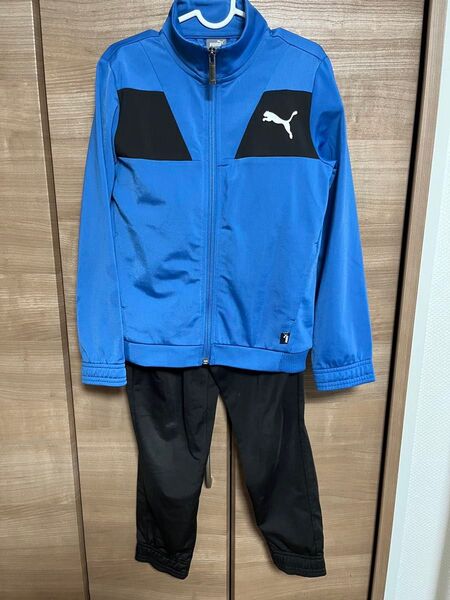 プーマ キッズ ジャージ セットアップ 128 上下セット ジャージ
