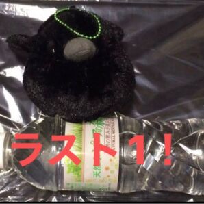 鬼滅の刃 カー助 目パッチリver. ぬいぐるみ