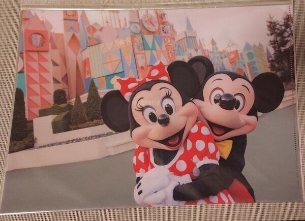 東京ディズニーリゾート イマジニングザマジック ミッキー ミニー クリアホルダー 実写