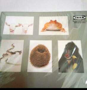 IKEA　大きめポストカード　アニマル　封筒付き　アート　インテリア　動物　写真