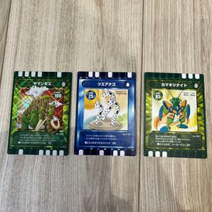 迷宮迷路ぐるり森カード