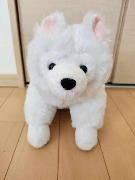 ☆くったりサモエドくん☆ごきげん☆