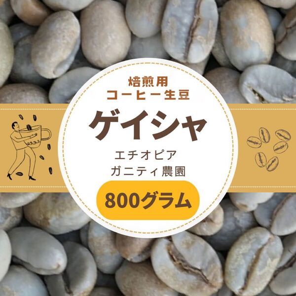 焙煎用 コーヒー生豆 ゲイシャ エチオピア ガニティ農園 800g