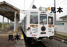 ★鉄道画像★和歌山電鐵　たま電車Ｂ　３カット_画像2