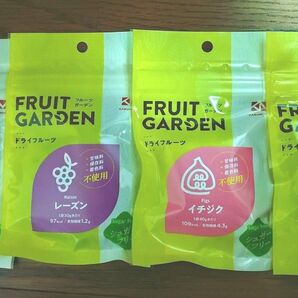 FRUIT GARDEN ドライフルーツ 4種セット