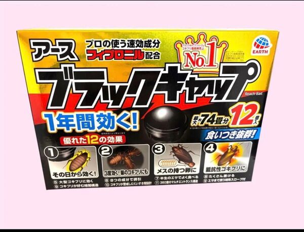 アース ブラックキャップ 最大約74畳分 12個入 箱無し