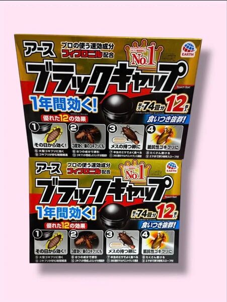 アース ブラックキャップ 最大約74畳分 12個入×2個 箱無し