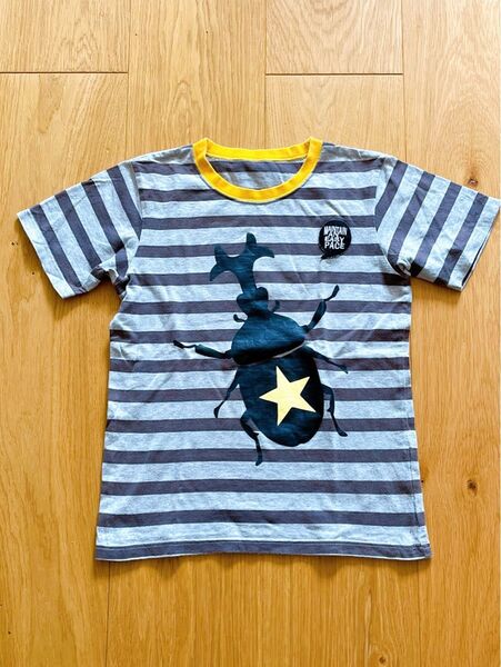 GITA ジータ ボーダーTシャツ カブトムシ 子ども KIDS 150cm ベルメゾン