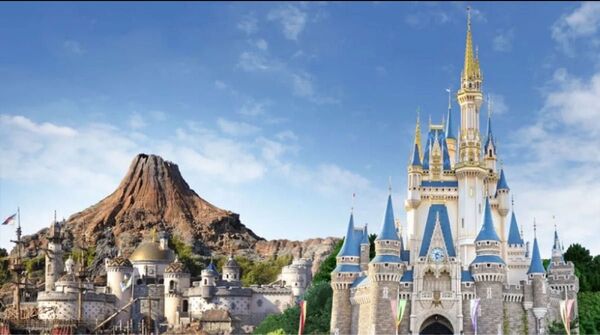 東京ディズニーリゾートパスポート1枚