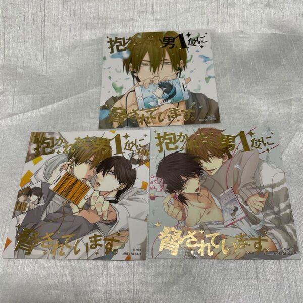 だかいち 抱かれたい男一位に脅されています 特典 箔押しカード
