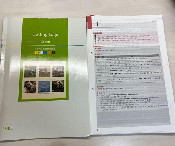 大学入試長文読解問題集 Cutting Edge Green