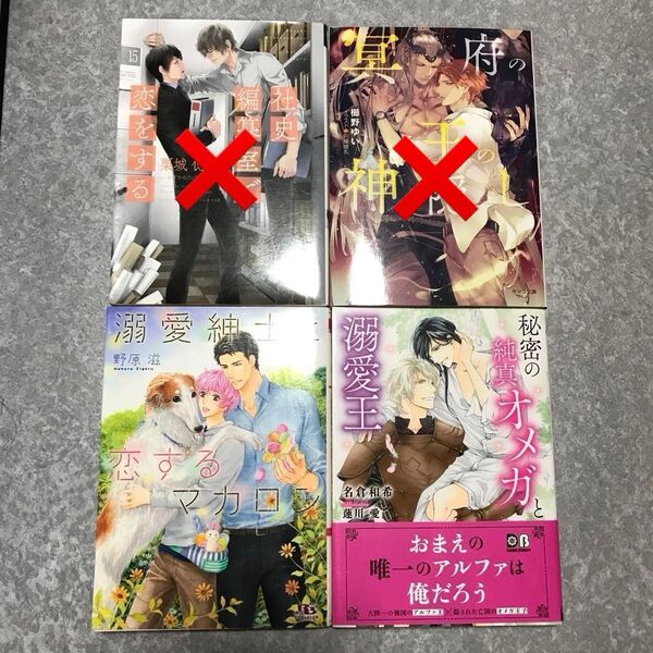 BL 小説 セット 2冊650円〜