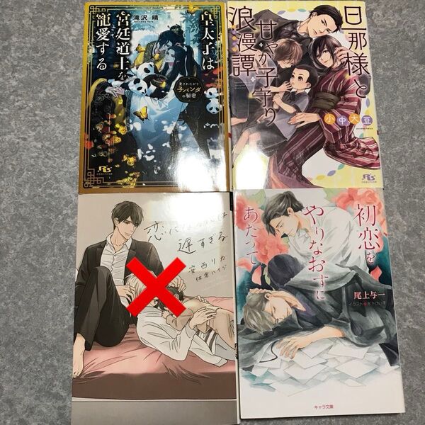 BL 小説 セット 2冊650円〜