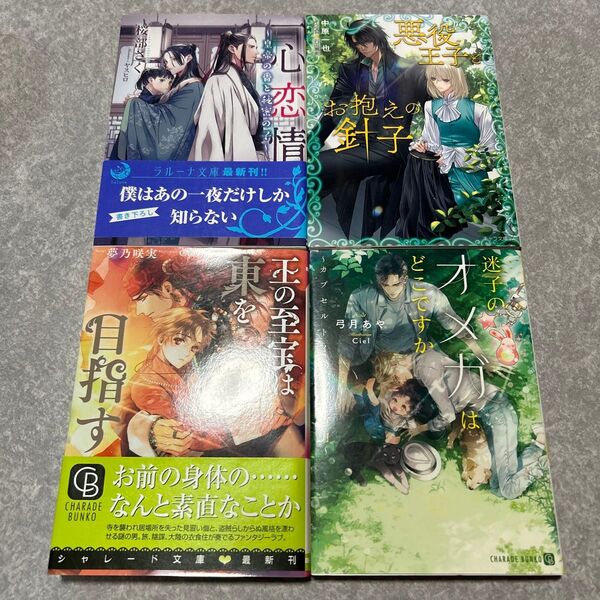 BL 小説 セット 2冊650円〜