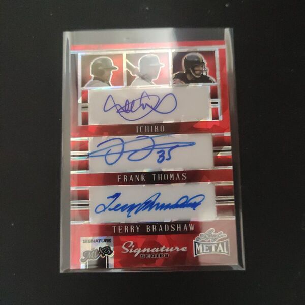 2024 leaf metal signature MVPs /1