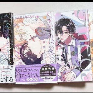 【BL】憐れなβは恋を知らない 2、3 オメガΩギムナジウム 先生、もうダメですっ 下、