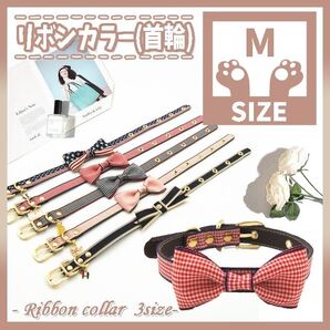437 R M カラー 首輪 ペットカラー 小型犬 ペット用品 おしゃれ