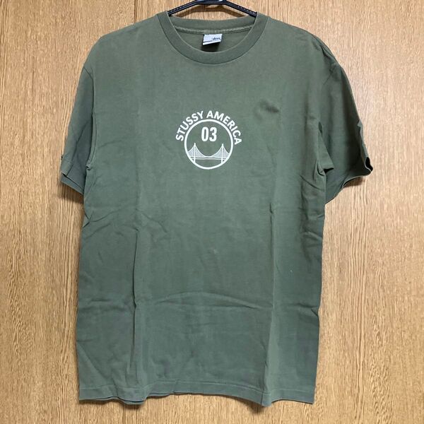 STUSSY AMERICA 03 Tシャツ グリーン系
