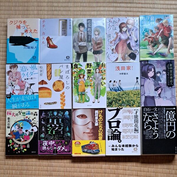 徳間文庫 1冊450円~600円 2冊900円 3冊1300円 4冊1700円