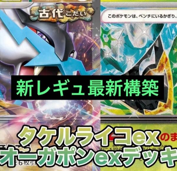 ポケモンカードゲーム バイオレット スカーレット タケルライコex デッキ 構築済 ライコポン オーガポン みどりのめん