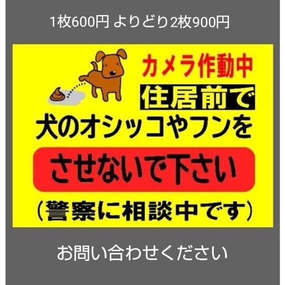 A4サイズカラーコーンプラカード305『カメラ作動中住居前で犬のオシッコやフンをさせないで下さい警察に相談中です』