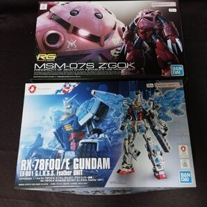 【EXPO2025 RX-78F00/E ガンダム(グラスフェザー装備)】&【RG シャア専用ズゴック】 2点セット