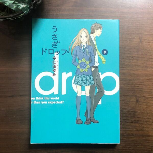 美品 うさぎドロップ 9巻