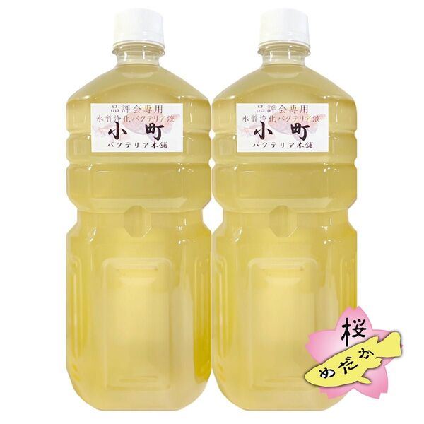 バクテリア本舗【小町】1L ×2本