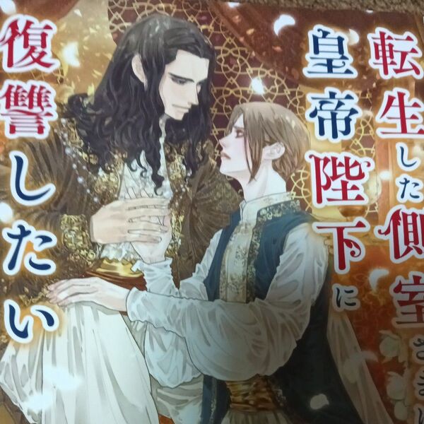 転生した側室さまは、皇帝陛下に復讐したい (幻冬舎ルチル文庫 ゆ2-14) 夢乃咲実/著