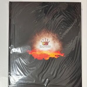 KAT-TUN LIVE TOUR 2010 ARENATOUR パンフレットD