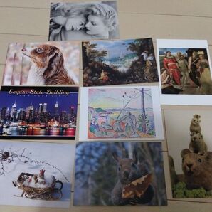 ポストカードセット 9枚 動物 ミケランジェロ マティス 美術館 海外