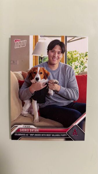 Topps Now Shohei Ohtani トップス 大谷翔平 デコピン ドジャース エンゼルス MLB MVP 限定 犬