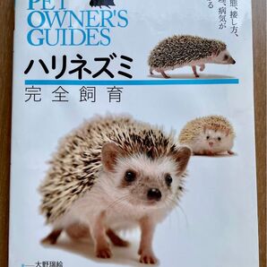 【ハリネズミ完全飼育】