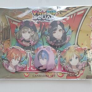 Vivid BAD SQUAD 缶バッジ 5個セット
