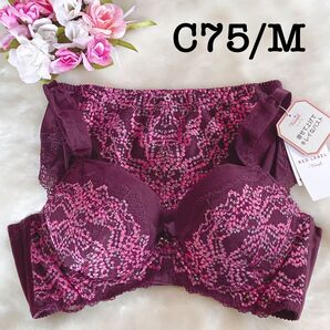C75/M◆トリンプ プレミアム TR0103◆ブラ&ショーツ◆ブラウン