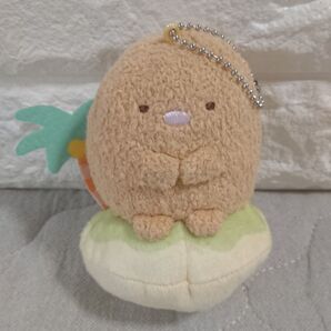 タグなし【すみっコぐらし】みなみのしまにのっかりキーホルダー