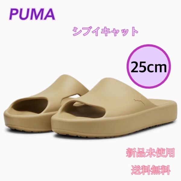 PUMA プーマ シブイキャット ベージュ 25センチ 新品 タグ付き
